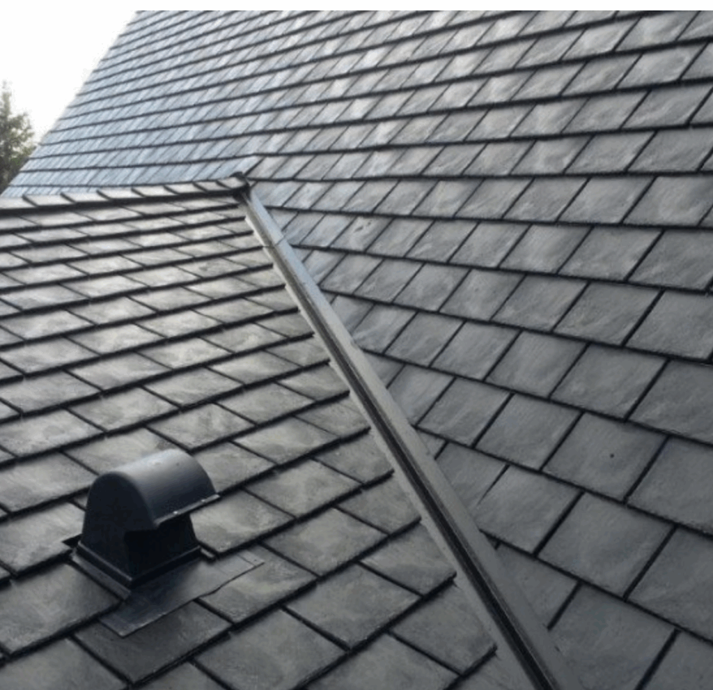 beautiful roofs