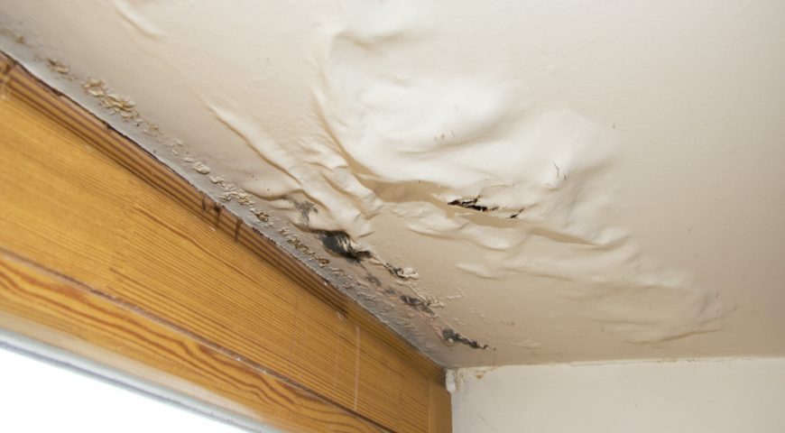 Fix Roof Leaks ASAP: How a Leaking Roof Affects Your Entire Home