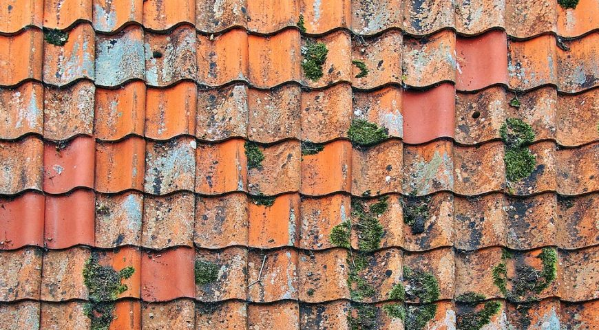4 Things to Know About the Importance of Roof Cleaning