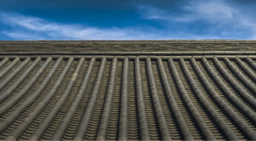 Why You Should Have Your Roof Inspected