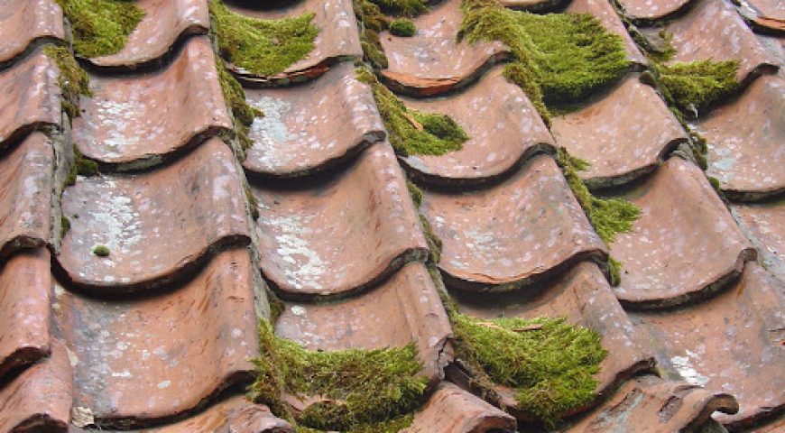Old Roofs: Unseen Problems for Your Home